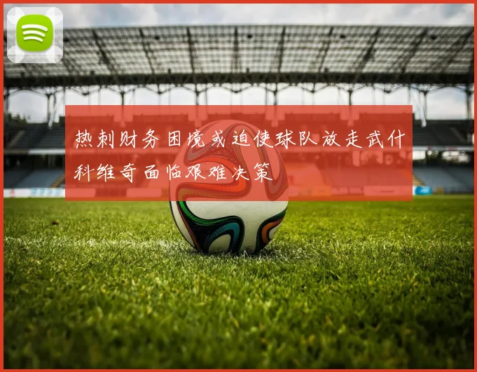 热刺财务困境或迫使球队放走武什科维奇面临艰难决策