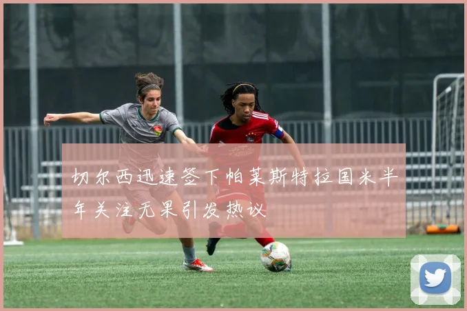 切尔西迅速签下帕莱斯特拉国米半年关注无果引发热议